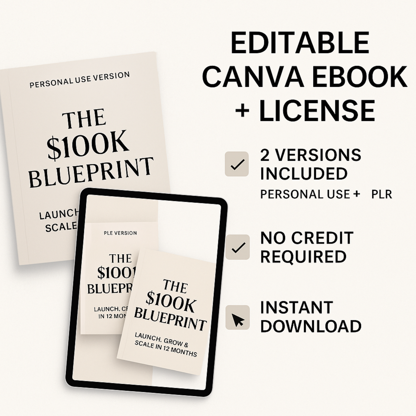 The $100K Blueprint (Editable PLR + Canva License)